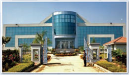 Company Building